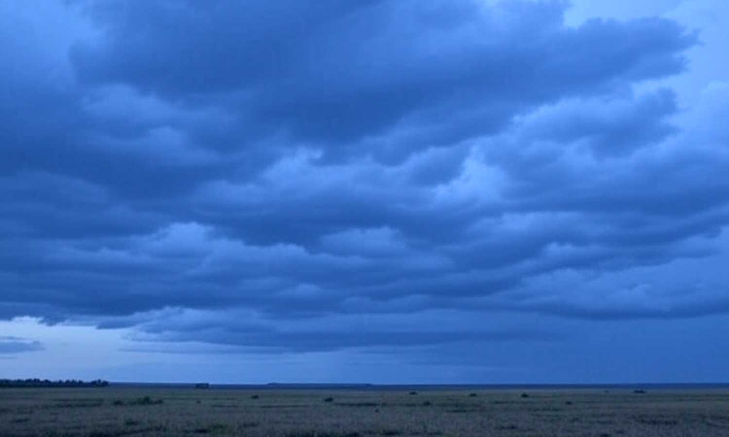 Heavy Rains
