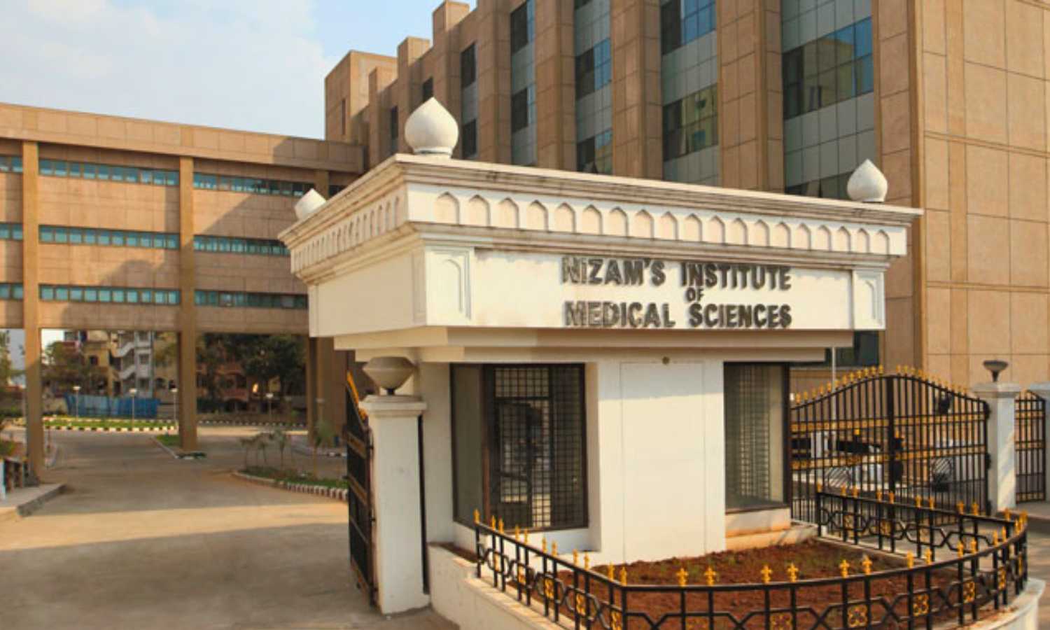 Kidney Transplants