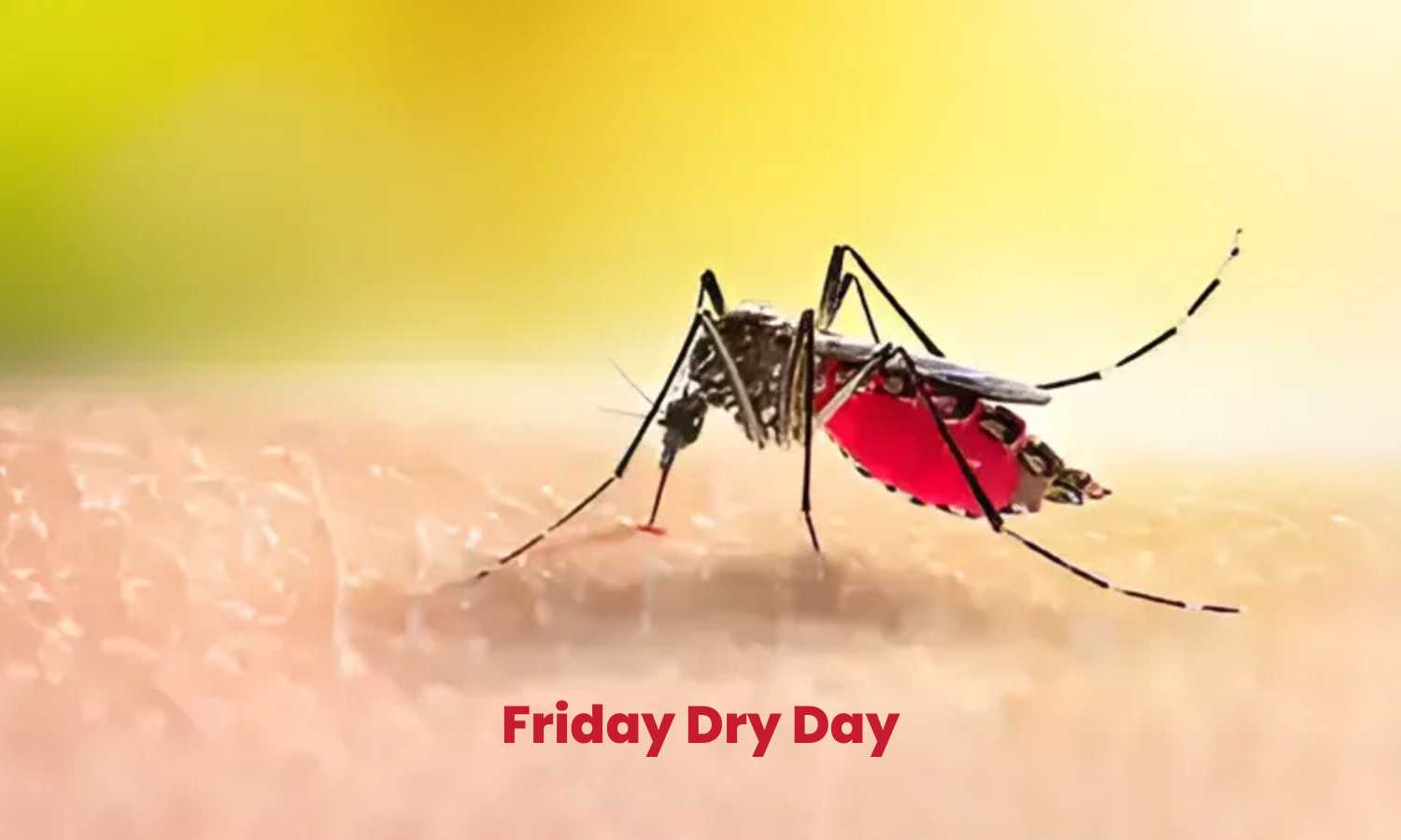 Friday Dry Day