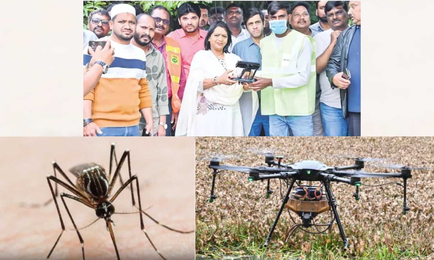 Anti Mosquito Drive