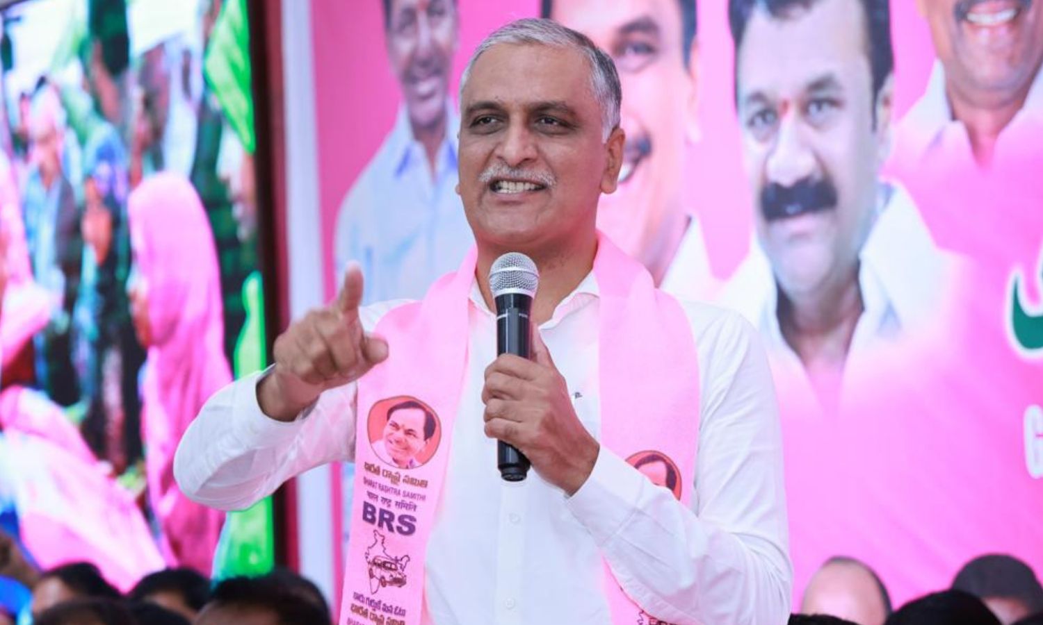Harish Rao Minority