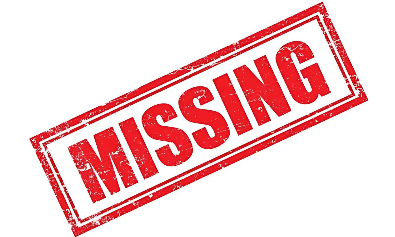 School Girl Missing